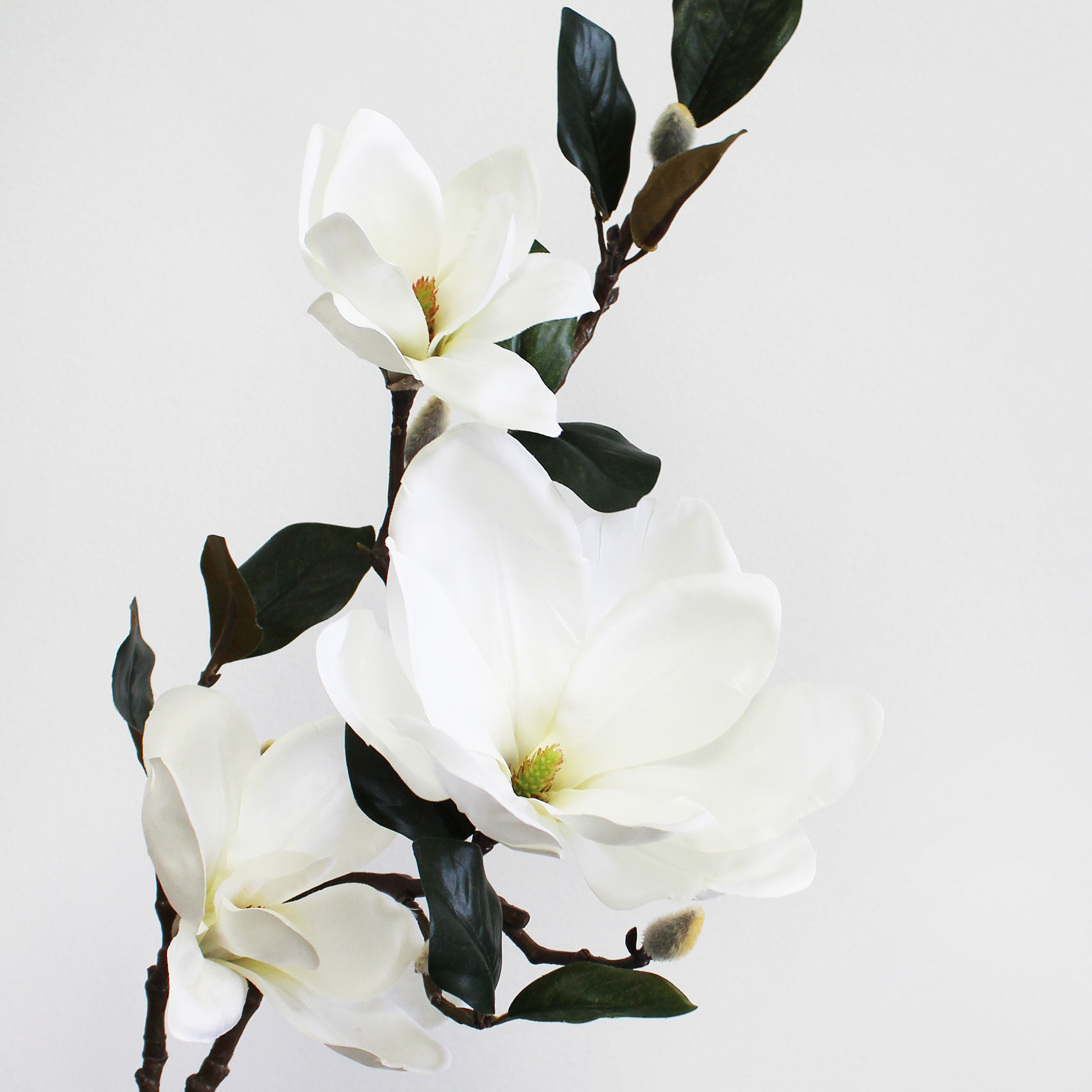 White Permanent Botanical Magonolia